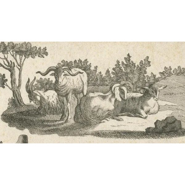 Chez Fietta et Compagnie, A Study of Rural Life and Animals, 1770, Print For Sale - Image 6 of 7