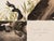 1980s 1980s The Abbeville Press Edition of the Canada Goose (Plate 201) From the Birds of America by John James Audubon For Sale - Image 5 of 5