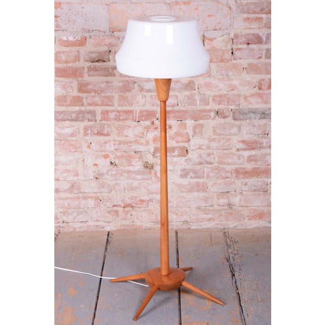 Mid-Century Modern Floor Lamp in Beech from Úluv, 1960s For Sale - Image 4 of 9