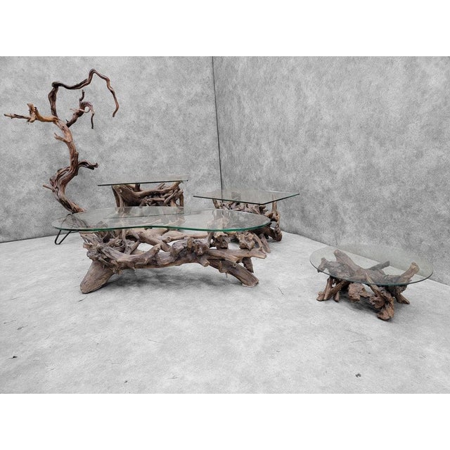 Mid 20th Century Mid Century Drift/Teak Root Live Edge Rectangle Glass Top Side Table - Set of 2 For Sale - Image 5 of 6