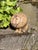 Africa Series Lion in Ceramic by Lisa Larson for Gustavsberg, Sweden, 1960s For Sale - Image 18 of 18