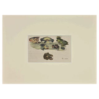 Thomas Holloway, Sea Creatures, Etching, 1810 For Sale