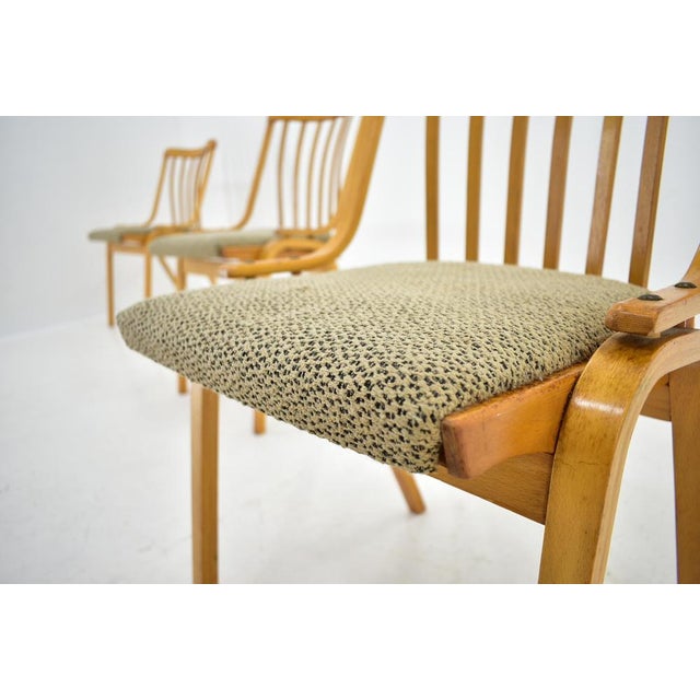 Dining Chairs attributed to Antonín Šuman, 1960s, Set of 4 For Sale - Image 17 of 18