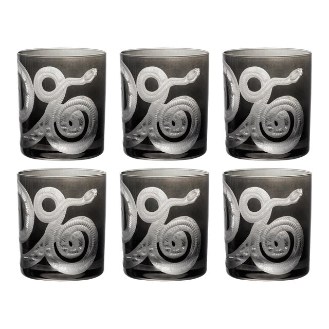 Cabinet of Curiosities Double Old Fashioned Glasses, Set of 6 Snake, Smoke For Sale