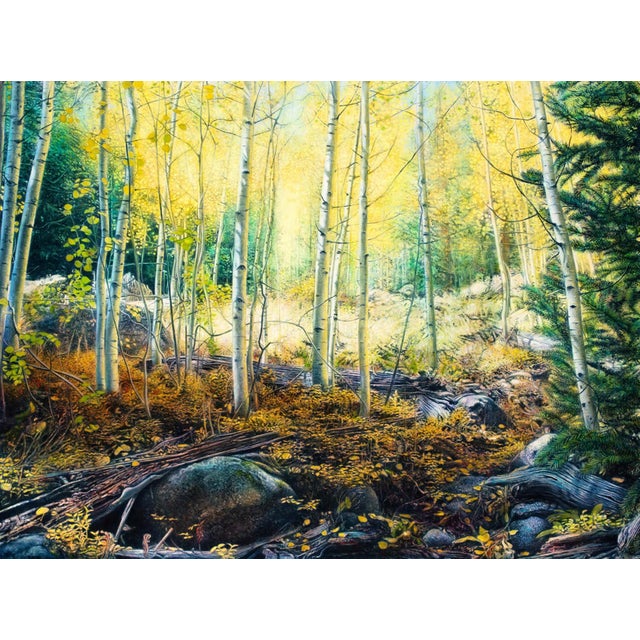 Enchanted Light by Thane Gorek | Gouache and Oil on Canvas Landscape of golden aspen trees For Sale