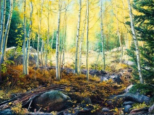 Enchanted Light by Thane Gorek | Gouache and Oil on Canvas Landscape of golden aspen trees