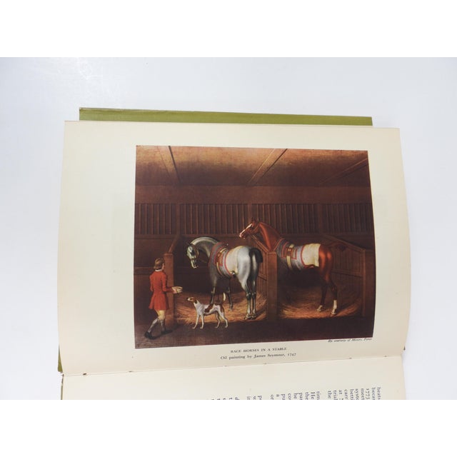 Paper 1948 the Turf by John Hislop Horseracing Book For Sale - Image 7 of 13