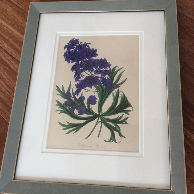 Paint Late 19th Century Antique Botanicals Series - Set of 8 For Sale - Image 7 of 13