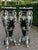1980 Italian Artisan Baroque Black Silver Pedestals-Pair For Sale - Image 4 of 18