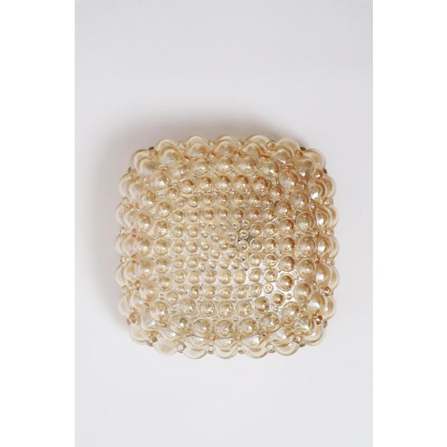 Gold Golden Bubble Wall Light with Glass by Helena Tynell for Glashütte Limburg, 1960s For Sale - Image 8 of 17