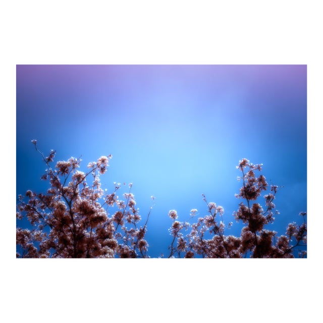 Where Dreams Meet You, Contemporary Fine Art Photography by Kristin Hart For Sale