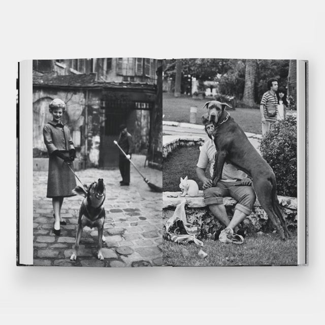 DogDogs Photography Book For Sale - Image 9 of 12