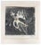 Untitled is an artwork realized by Johnny Friedlander in 1970s. Etching on wove paper. Signed and numbered. Edition of 135...