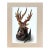 Deer Fish Frog: Ltd Edition Print of Oaxacan Alebrije Wood Carving in 16x20 Mat For Sale