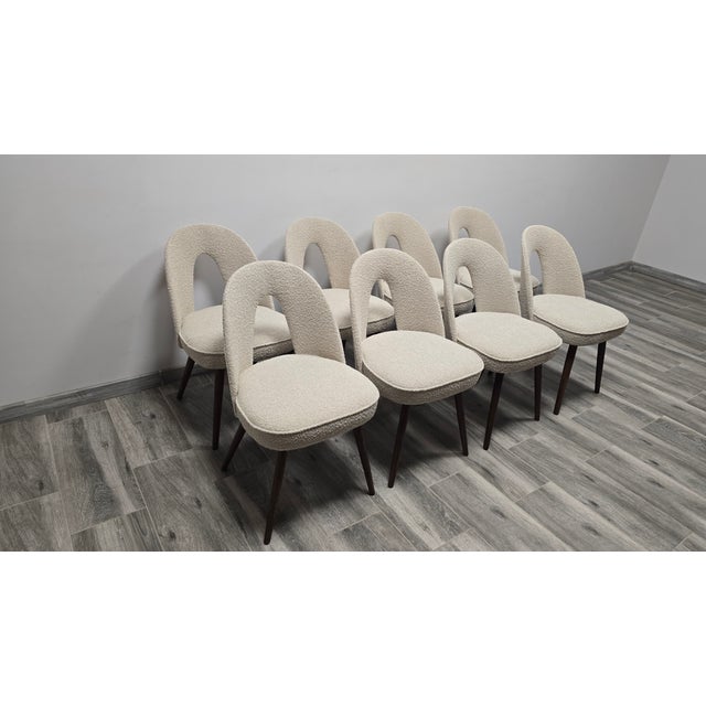 Dining Chairs from Antonin Suman, 1960s, Set of 8 For Sale - Image 6 of 10