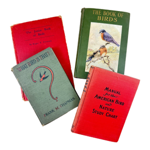 Antique American Bird Study Nature Books, 1909-1935, a Group of Four
