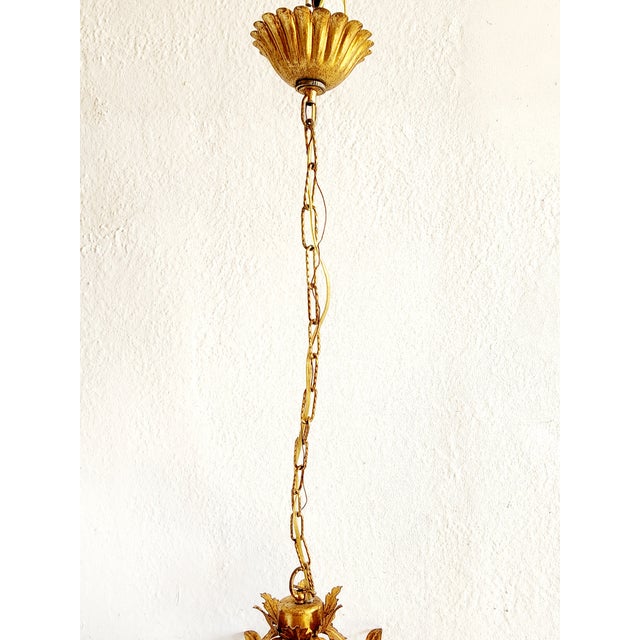 Vintage Italian Gilt Iron Louis XVI Style Hanging Lantern For Sale - Image 10 of 12