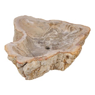 Petrified Wood Wash Hand Basin by Xyleia Petrified Wood For Sale