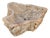 Petrified Wood Wash Hand Basin by Xyleia Petrified Wood For Sale