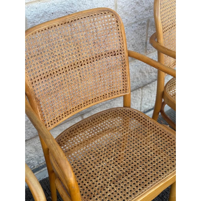 Wood A Set of Four Mid Century Thonet Style Bentwood Prague Chairs Chairs For Sale - Image 7 of 11