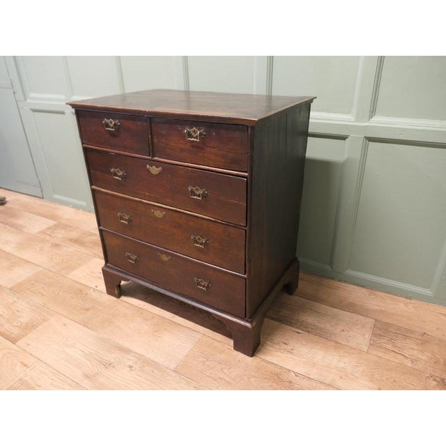 18th Century Georgian Oak Chest of Drawers For Sale - Image 6 of 8