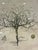 Large-scale framed botanical artwork by Natural Curiosities, adapted from an historic natural-history illustration...