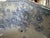 Late 19th Century 19th Century Asiatic Pheasant Platter For Sale - Image 5 of 17