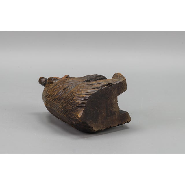 Hand-Carved Black Forest Bear with Aluminum Pot, 1920s For Sale - Image 15 of 18