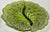 Avocado Leaf Server For Sale - Image 6 of 8