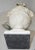 Plaster Urn Lamp With Rams Head Handles C.1950s For Sale In San Francisco - Image 6 of 7
