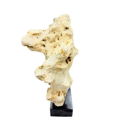 Natural coral stone from Indonesia with a sandy hue, displayed on a handcrafted teak stand. Its organic texture and warm...