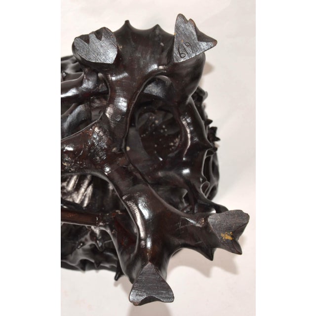 1969 Vintage Organic Modern Driftwood Root Branch Low Drink Table Bonsai Stand For Sale - Image 11 of 12