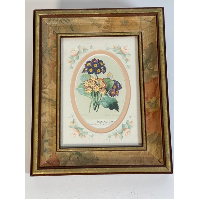 Vintage botanical chromolithograph of Primulas in Handpainted framed framed and handpainted matte.