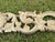 1970s Vintage 64 Inch Baroque Overdoor Wall Pediment Large Shell Scroll Frieze Header For Sale - Image 17 of 17