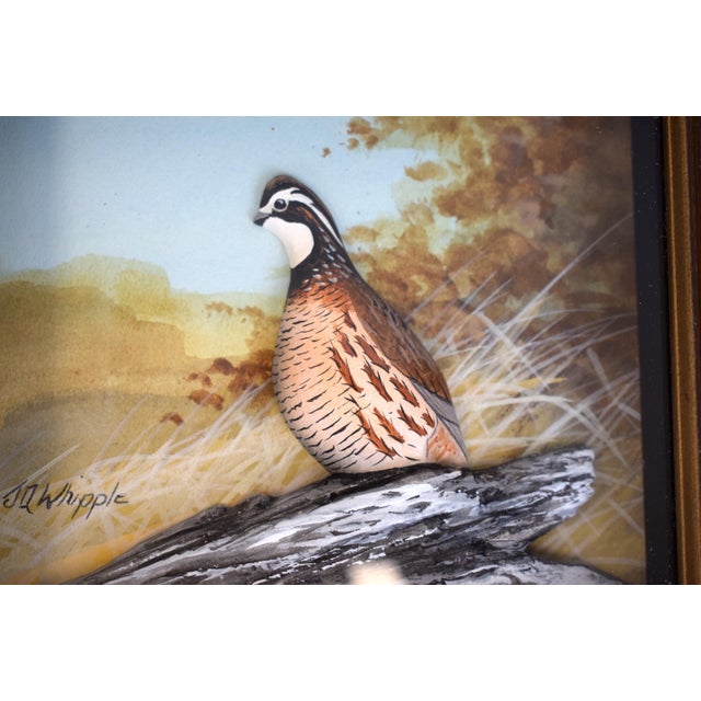 Traditional Hand Painted Bob White Quail Composition Relief Sculpture & Landscape by Joseph Q. Whipple (Signed & Dated 10/84) For Sale - Image 3 of 5
