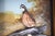 Traditional Hand Painted Bob White Quail Composition Relief Sculpture & Landscape by Joseph Q. Whipple (Signed & Dated 10/84) For Sale - Image 3 of 5
