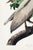 Not Yet Made - Made To Order Brown Pelican by Audubon, Vintage Art Print Reproduction, 32" X 48" For Sale - Image 5 of 12