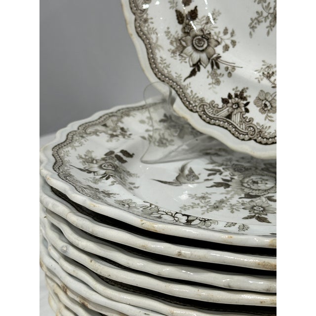 Set of Antique Podmore Walker and Co English Brown Transferware Dinner Plates For Sale - Image 9 of 10
