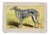 1907, Borzoi, Original Antique French Dog Print For Sale