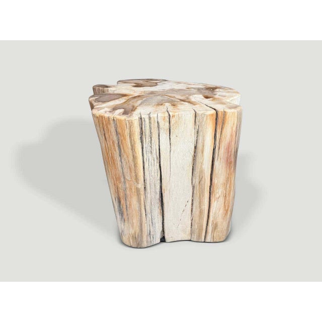 Contemporary Andrianna Shamaris Impressive High Quality Ancient Petrified Wood Side Table For Sale - Image 3 of 5