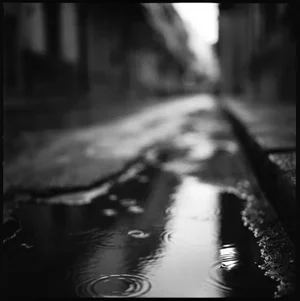 Paul Cooklin, Rain I, Photograph