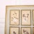Large Herbarium Wall Panel, 1890s For Sale - Image 3 of 8