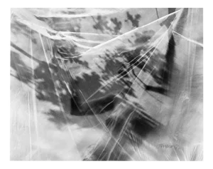 Ugne Pouwell, Undo No.2, 2024, Photography
