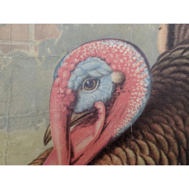 Antique Educational Wall Chart, Lithograph, Turkey, 19th Century For Sale - Image 3 of 8