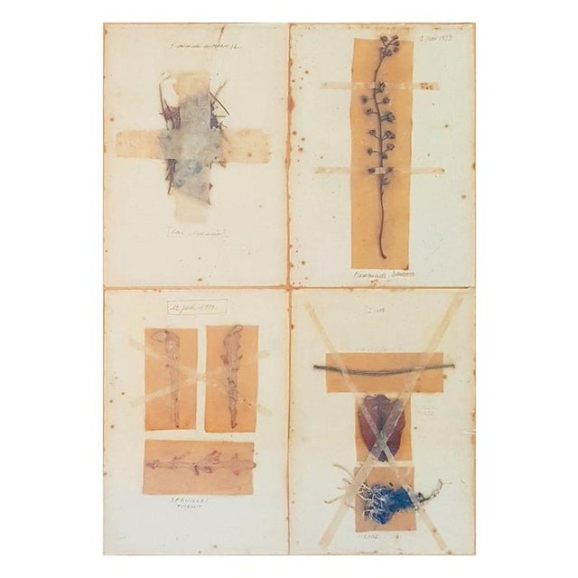 Contemporary Anne and Patrick Poirier, Journal Herbier de Bordeaux, 1970s, Mixed Media For Sale - Image 3 of 4