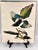 Paper 1964 Audubon Folio Lithograph Great Bird Paintings – “American Magpie” 17x14 For Sale - Image 7 of 7