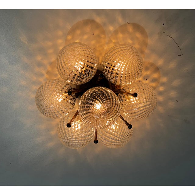 Sakura Balloton Bronzed Clear Globe Flush Mount by Fabio LTD For Sale - Image 6 of 8