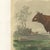 Unknown, Flemish Cow, 1873, Paper For Sale - Image 6 of 12