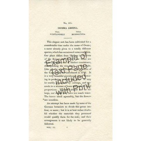 Purple 1820s, the Botanical Cabinet, Set of 6 Antique Botanical Prints, Engravings, Hand Colored, England For Sale - Image 8 of 8