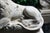 Sleeping Lion Monument Statuary Statues - Set of 2 For Sale In Los Angeles - Image 6 of 13